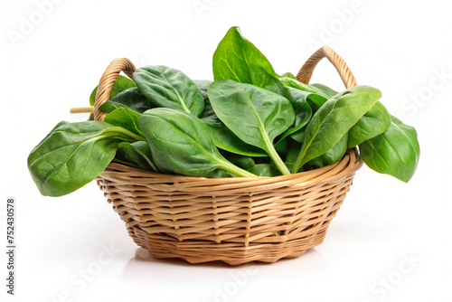 fresh spinach leaves in a basket isolated on white background