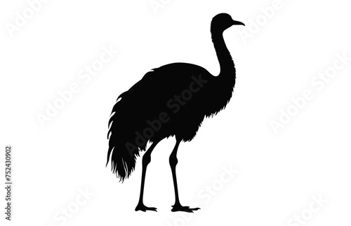 Emu Silhouette isolated on a white background, A Ostrich emu black silhouette, Australian Emu Bird Vector