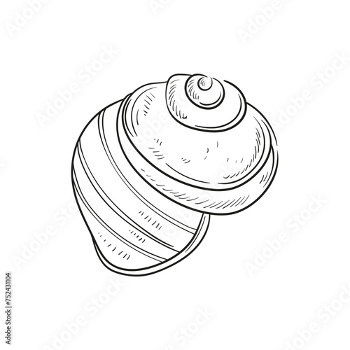 Hand-drawn, engraved line illustrations of realistic mollusk shells in various forms. Perfect for marine-themed designs. Black and white sketches on a navy peony background, including starfish.
