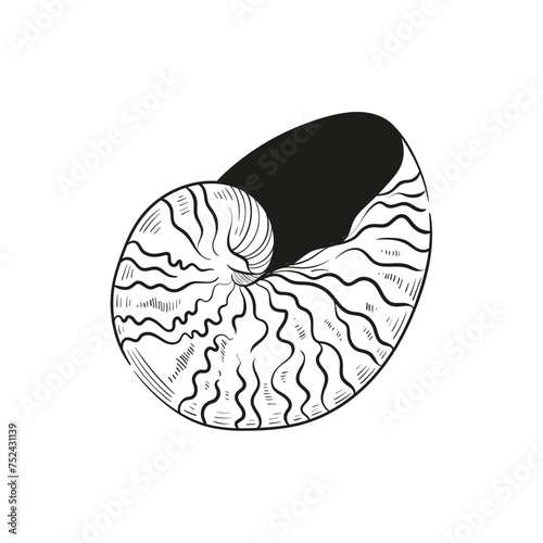 Hand-drawn, engraved line illustrations of realistic mollusk shells in various forms. Perfect for marine-themed designs. Black and white sketches on a navy peony background, including starfish.