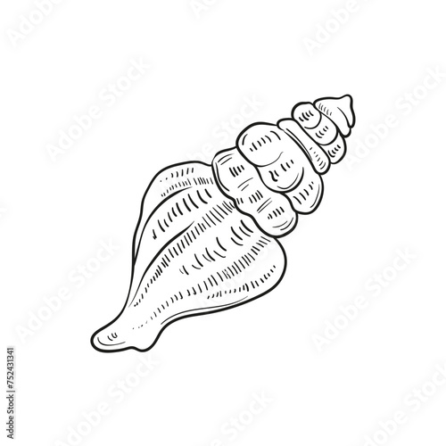 Hand-drawn, engraved line illustrations of realistic mollusk shells in various forms. Perfect for marine-themed designs. Black and white sketches on a navy peony background, including starfish.