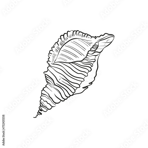 Hand-drawn, engraved line illustrations of realistic mollusk shells in various forms. Perfect for marine-themed designs. Black and white sketches on a navy peony background, including starfish.