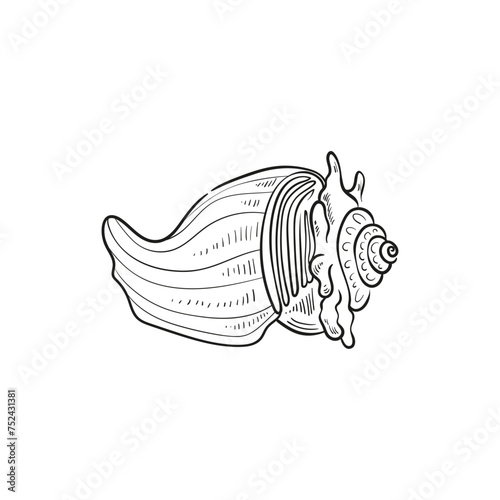 Hand-drawn, engraved line illustrations of realistic mollusk shells in various forms. Perfect for marine-themed designs. Black and white sketches on a navy peony background, including starfish.