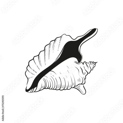 Hand-drawn, engraved line illustrations of realistic mollusk shells in various forms. Perfect for marine-themed designs. Black and white sketches on a navy peony background, including starfish.