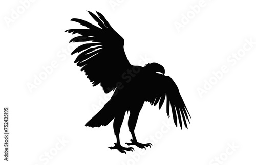 Flying Griffon Vulture Beak black vector, Big Griffon Vulture silhouette isolated on a white background