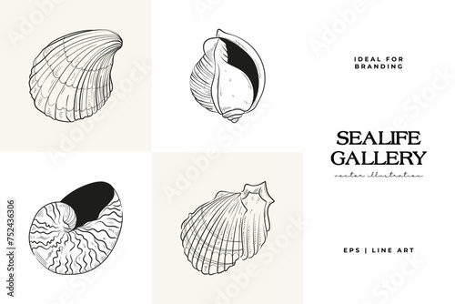 Hand-drawn vector set featuring realistic sketches of various marine seashells and starfish in black and white. Ideal for underwater-themed designs.