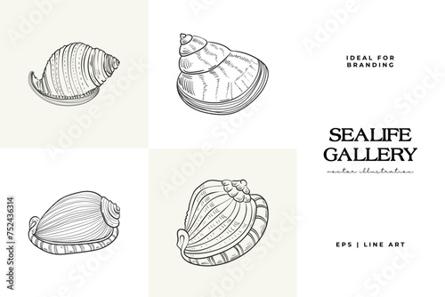 Hand-drawn vector set featuring realistic sketches of various marine seashells and starfish in black and white. Ideal for underwater-themed designs. © KozyPlace