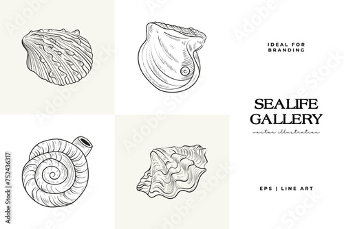 Hand-drawn vector set featuring realistic sketches of various marine seashells and starfish in black and white. Ideal for underwater-themed designs.