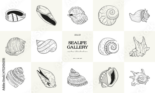 Hand-drawn vector set featuring realistic sketches of various marine seashells and starfish in black and white. Ideal for underwater-themed designs.