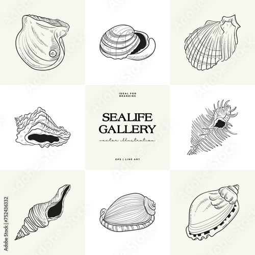 Hand-drawn vector set featuring realistic sketches of various marine seashells and starfish in black and white. Ideal for underwater-themed designs.