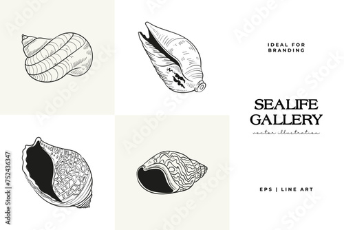 Hand-drawn vector set featuring realistic sketches of various marine seashells and starfish in black and white. Ideal for underwater-themed designs.