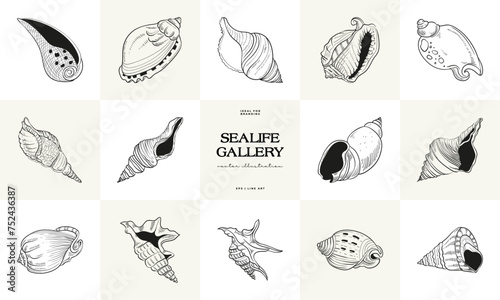 Hand-drawn vector set featuring realistic sketches of various marine seashells and starfish in black and white. Ideal for underwater-themed designs.