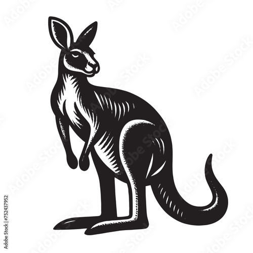 Kangaroo.  Old vintage engraving illustration. Hand drawn outline graphic. Logo, emblem, icon. Isolated object, cut out. black and white	