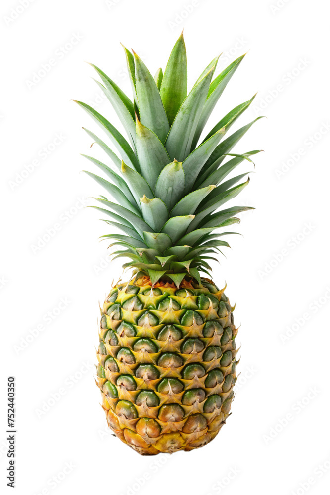 Pineapple Fruit isolated on white. Pineapple Fruit isolated on white.