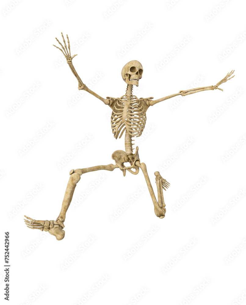 structural skeleton is doing a super jump structural skeleton is doing a super jump