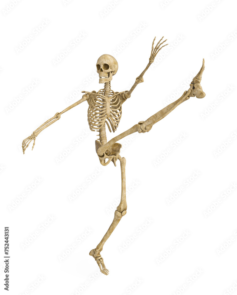 structural skeleton is kicking up high structural skeleton is kicking up high