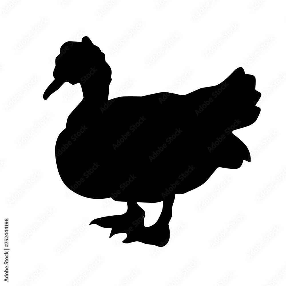 poultry Silhouette for Art Illustration poultry Silhouette for Art Illustration