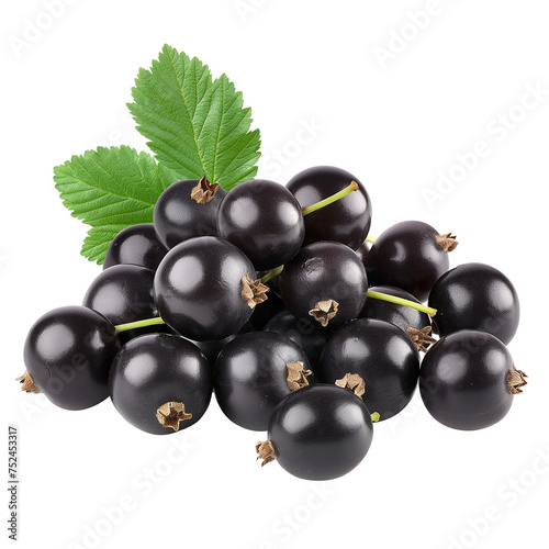Blackcurrant on white background png image