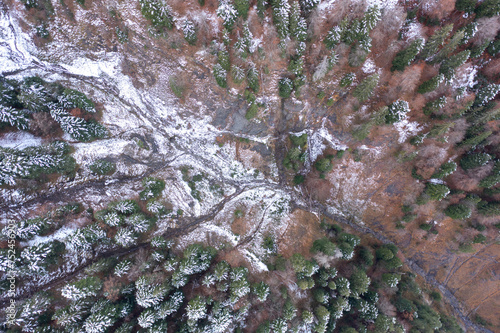 Bewirtschaftetes Waldstück in steilem Gelände in den Bergen im Winter.