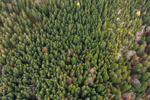 Drohnenbild von einem bewirtschafteten Waldstück in steilem Gelände.