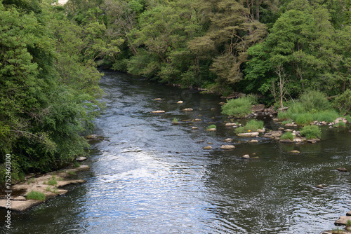 View of Fast Flowing River with Trees on Overgrown Banks 