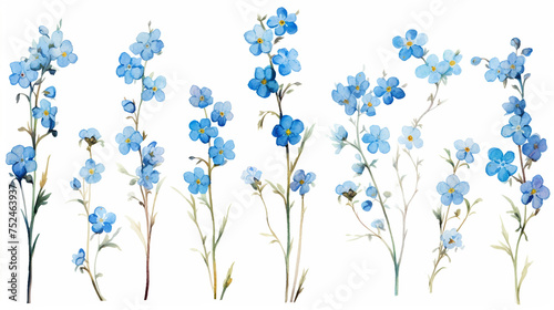 Floral branch set. Blue floral collection with leaves and flowers  han drawn oil paint watercolor. Spring or summer design for invitation  wedding or greeting cards background illustration
