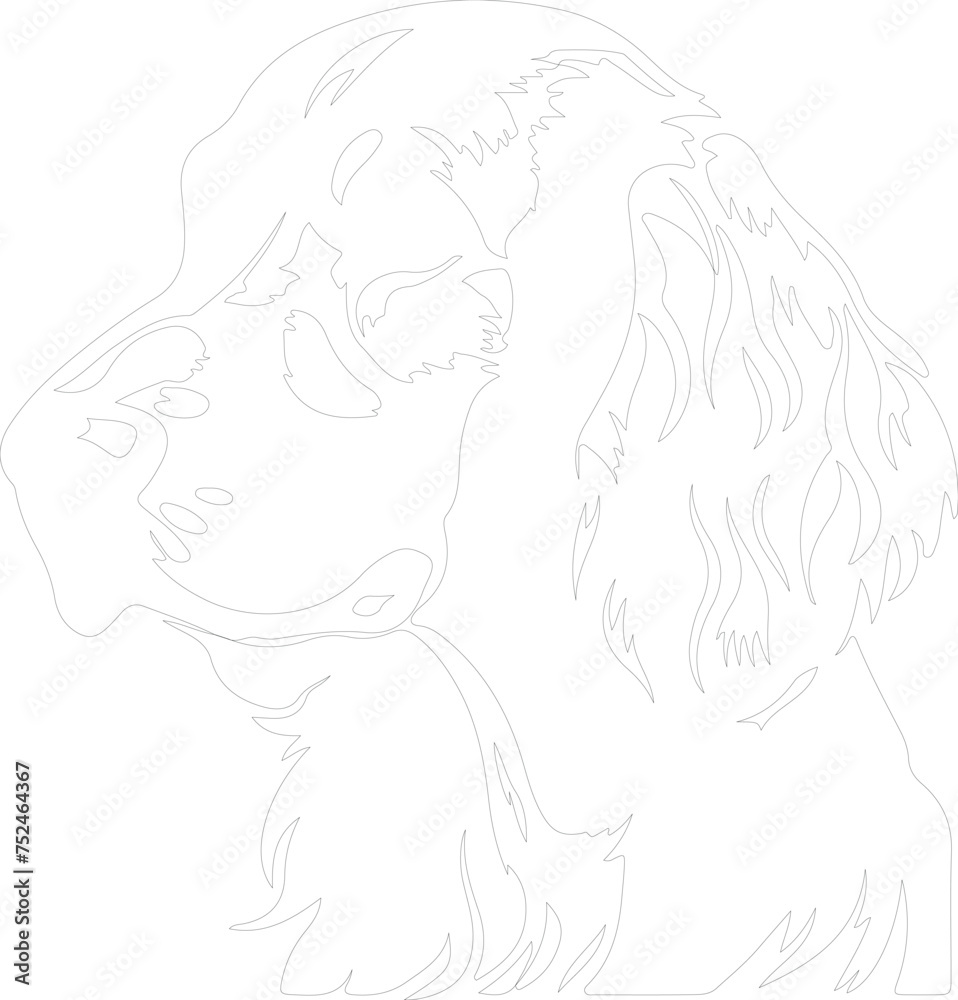English Setter outline English Setter outline