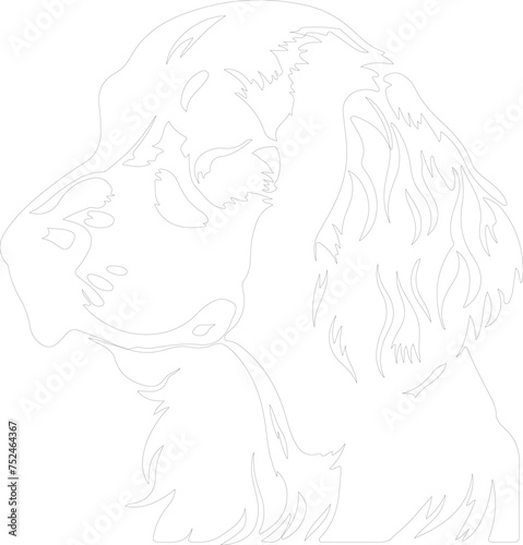 English Setter outline