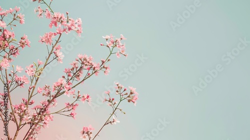 Trendy Soft Floral Minimalist Background. Minimal concept Art direction with spring and summer theme. 