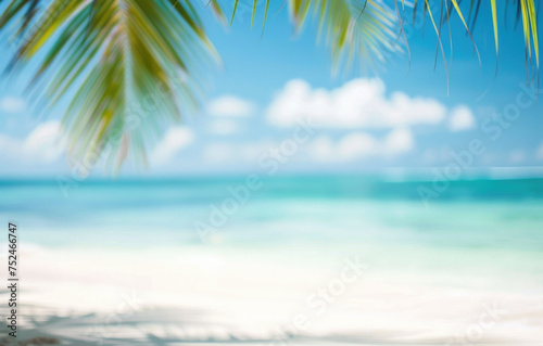 Tropical beach with palm trees  sand  waves and sun light  defocused abstract background with copy space