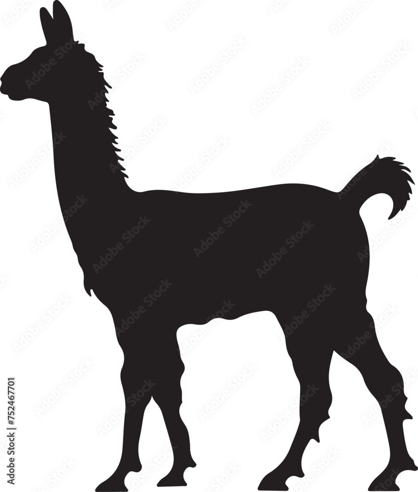 Fototapeta premium Llama Silhouette Vector Illustration White Background