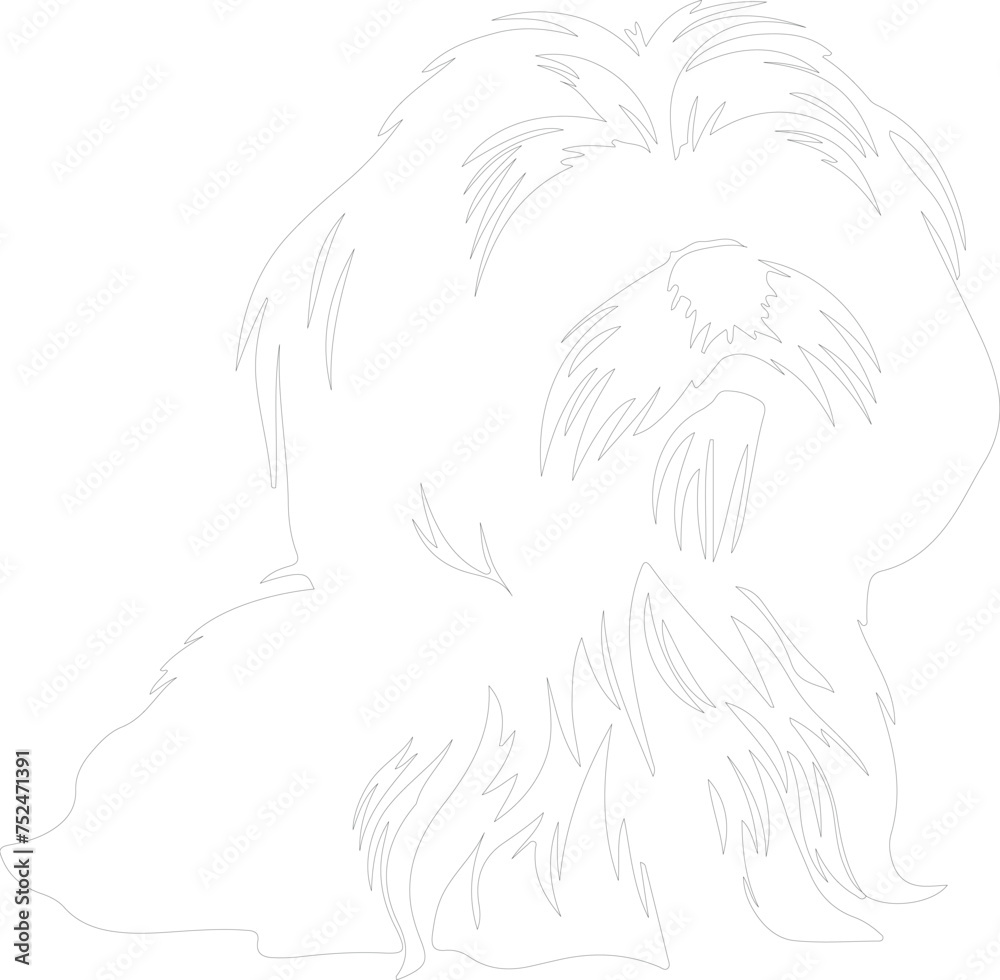 Shih Tzu outline Shih Tzu outline