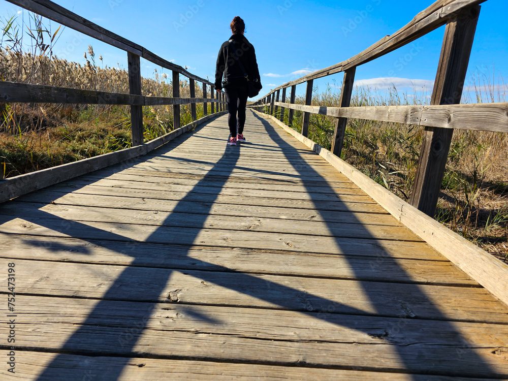 
woman walks, enjoying the landscape on a sunny winter day, with blue sky, on a wooden walkway, next to the Mar Menor, surrounded by reeds