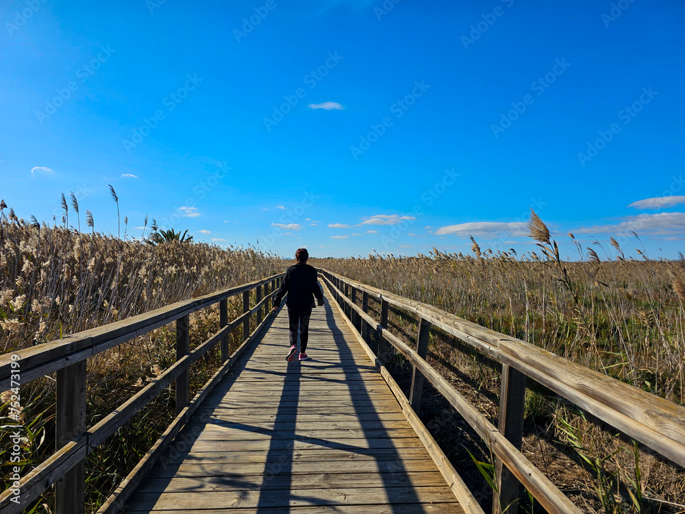 
woman walks, enjoying the landscape on a sunny winter day, with blue sky, on a wooden walkway, next to the Mar Menor, surrounded by reeds