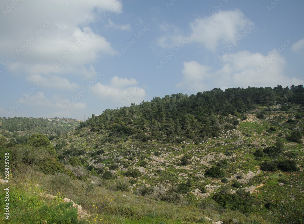 View over Jerusalem Hills from the Martyrs' Forest, (HaKdoshim Forest) in Israel.