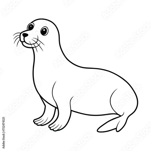 Sea Lion illustration coloring page for kids