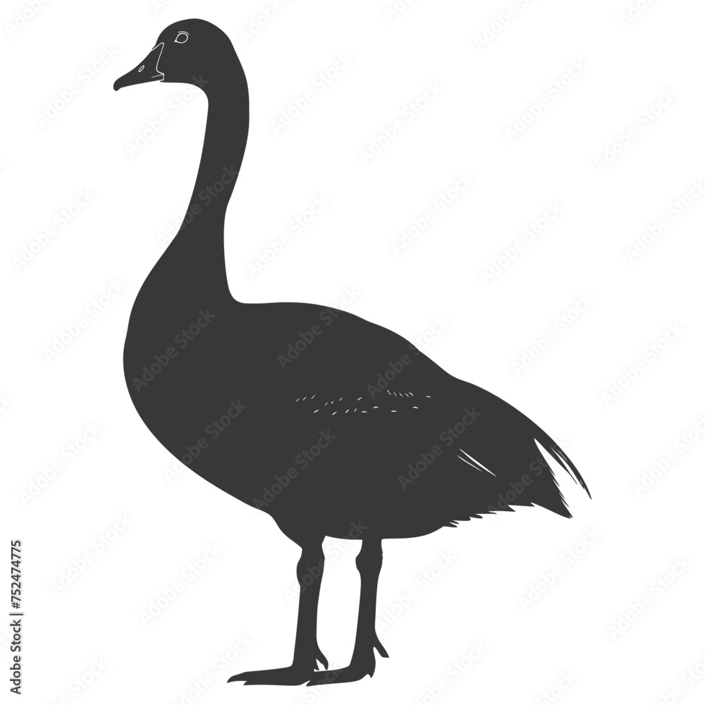 Fototapeta premium Silhouette goose animal black color only full body