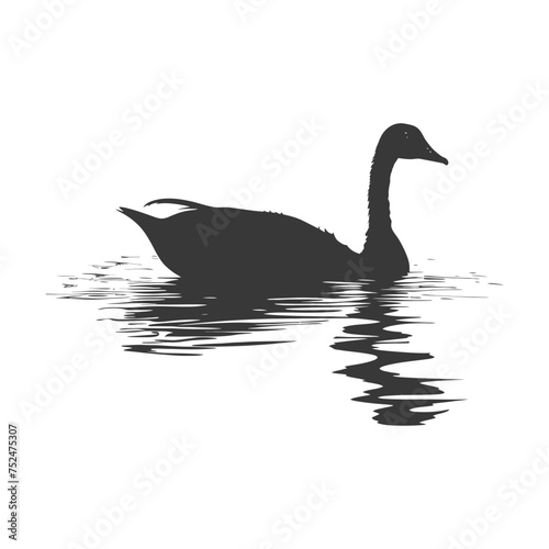 Silhouette goose animal swim black color only full black color only