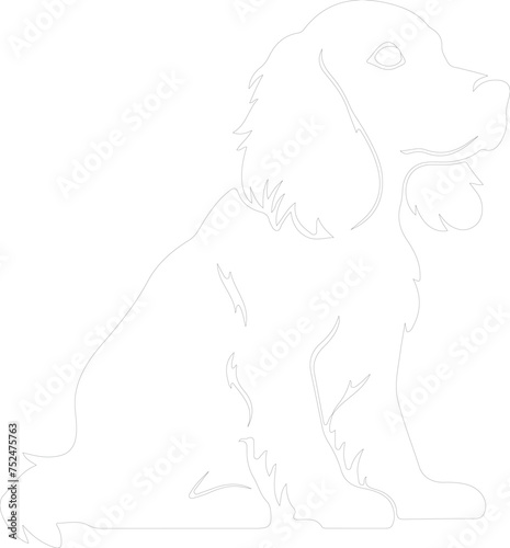 American Water Spaniel outline