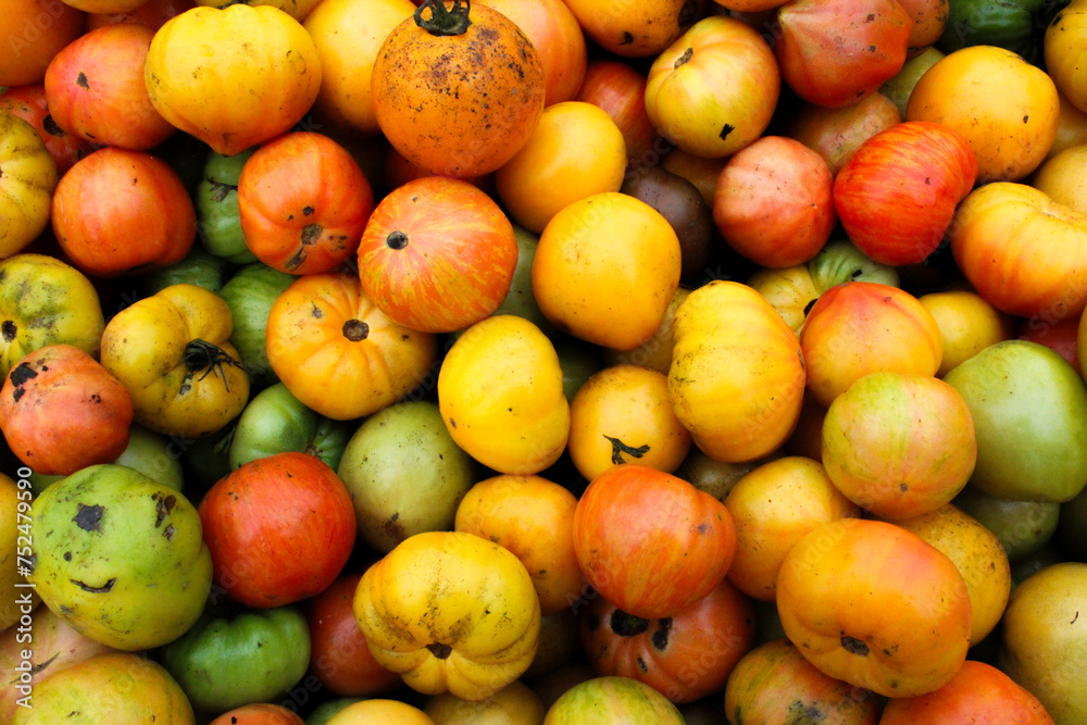 Vibrant Tomatoes