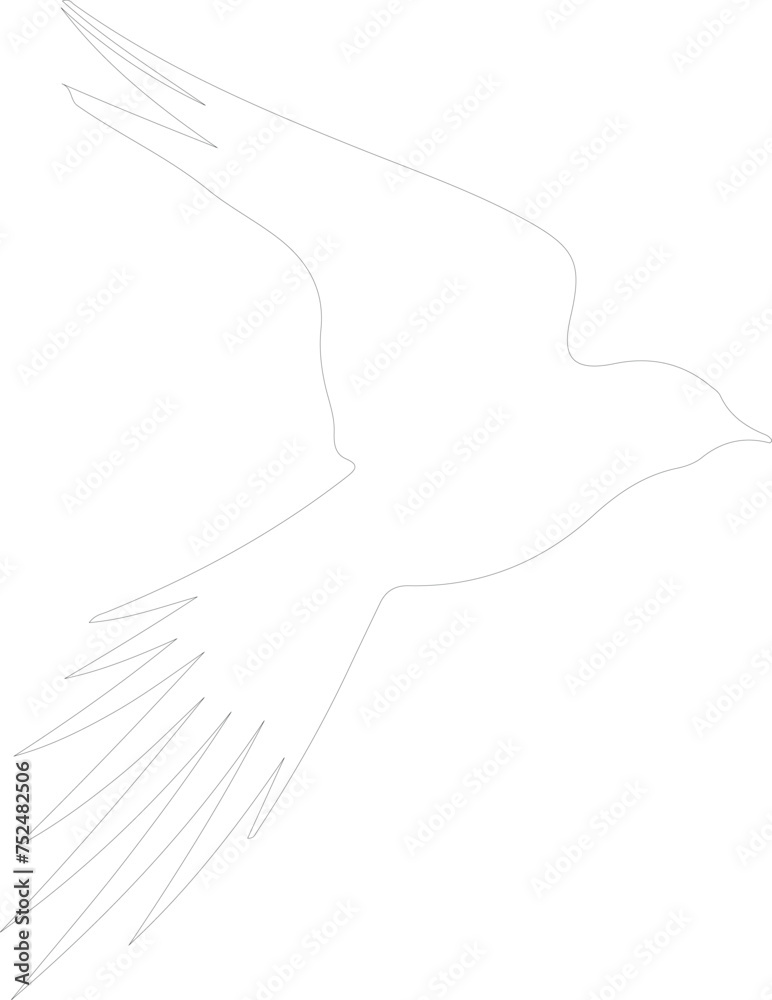 Arctic tern outline Arctic tern outline