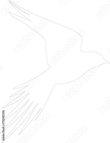 Arctic tern outline