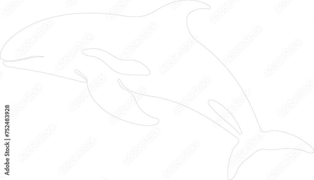 Obraz premium beluga whale outline