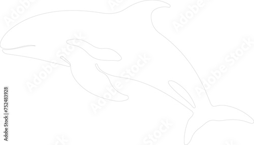 beluga whale outline