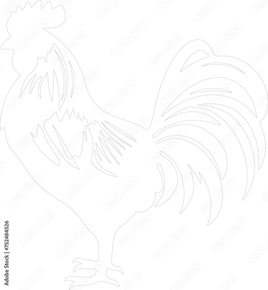 chicken outline chicken outline