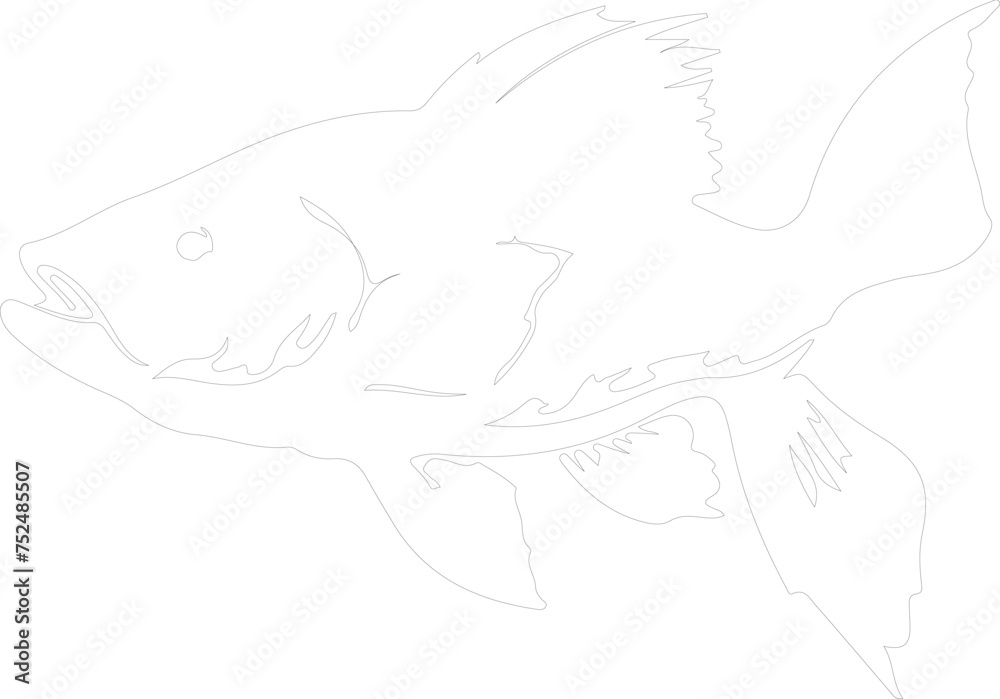 Fototapeta premium coelacanth outline