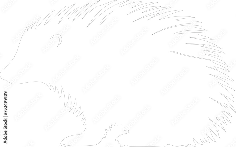 North American porcupine outline North American porcupine outline