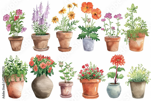 Fototapeta Naklejka Na Ścianę i Meble -  Set of watercolor painting spring or summer flowers and leaves branch in pot garden plants vector illustration