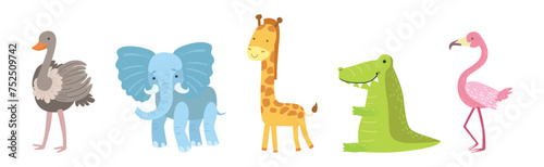 Wild African Animal and Zoo Beast Vector Set