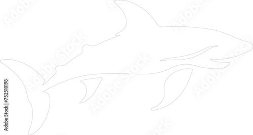 Liopleurodon outline